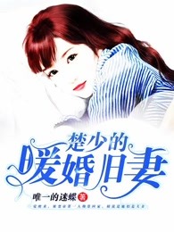 楚少的暖婚旧妻