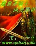 魔兽圣骑士风光异世