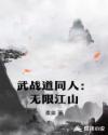 武战道同人：无限江山