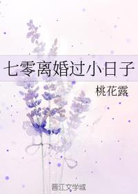 七零离婚过小日子